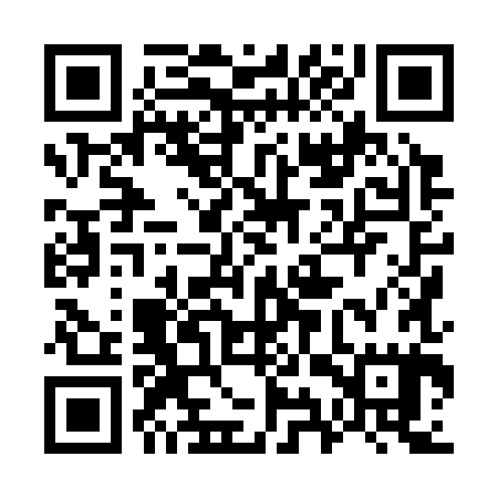 QR code for 79X385