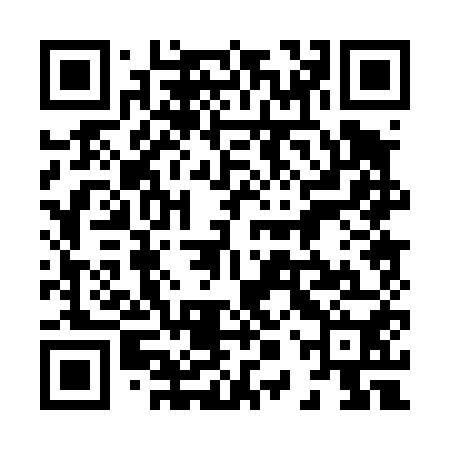 QR code for 80P450