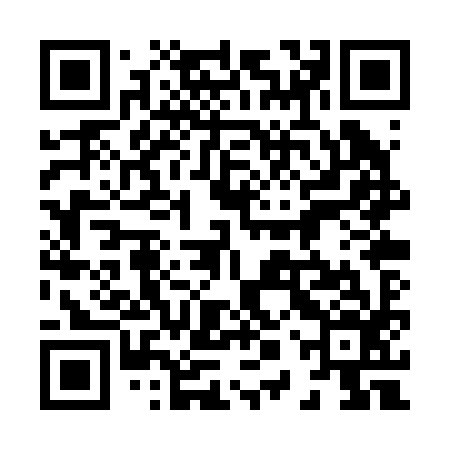 QR code for 80PR96