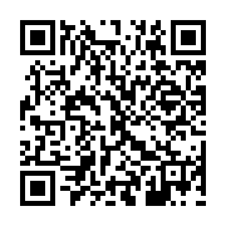 QR code for 80PZ65