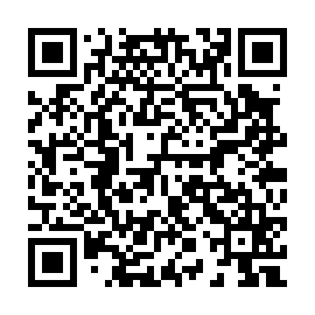 QR code for 80SP65