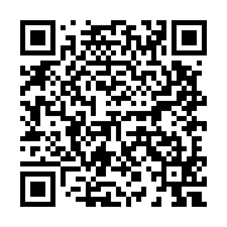 QR code for 80XE95