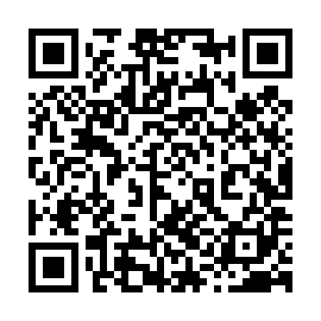 QR code for 81LT81