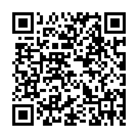 QR code for 81Z981