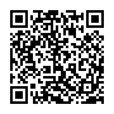 QR code for 82P013