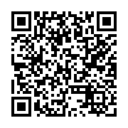 QR code for 83LI33