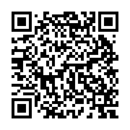 QR code for 85C217