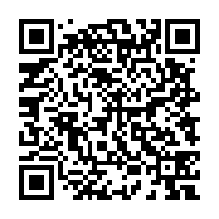 QR code for 85D538