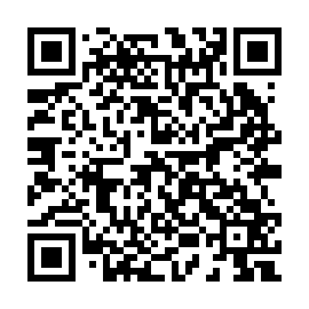 QR code for 85IR63