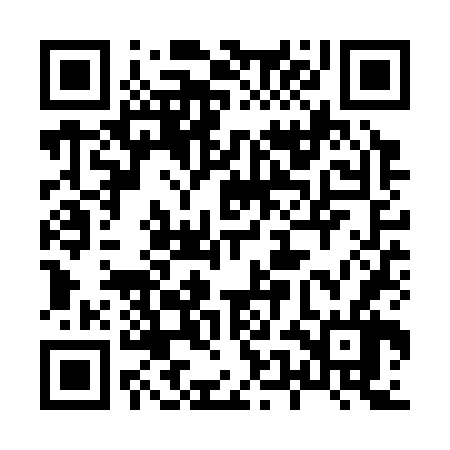 QR code for 85NS66