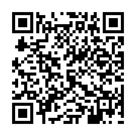 QR code for 85PG43