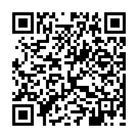 QR code for 85W205