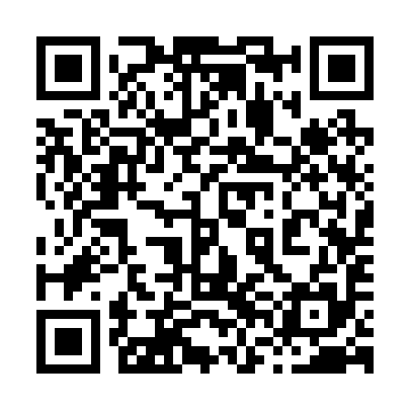 QR code for 86C295