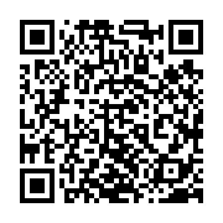 QR code for 87H638