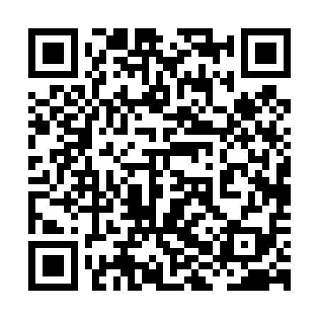 QR code for 8HP419