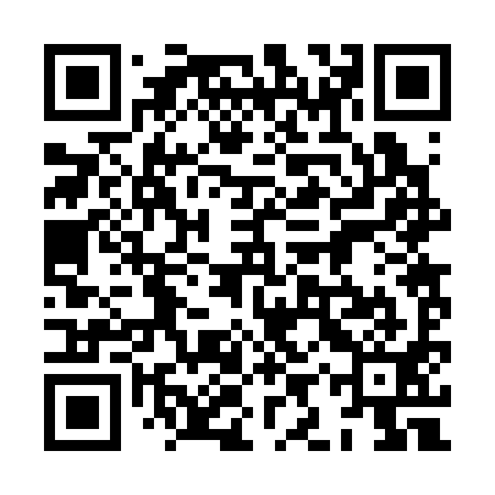 QR code for 8IR391