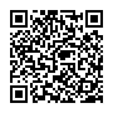 QR code for 8L8729