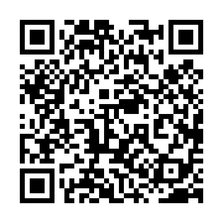 QR code for 8P0419
