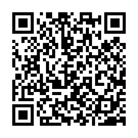 QR code for 91D411