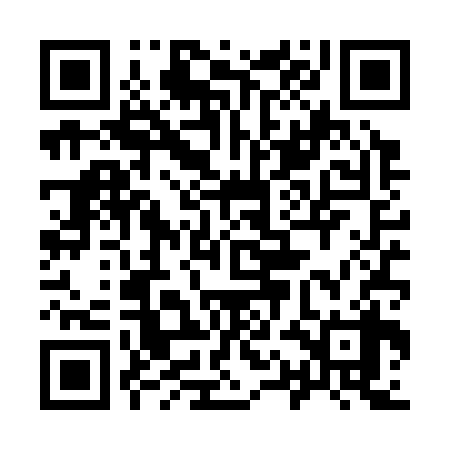 QR code for 91DS38