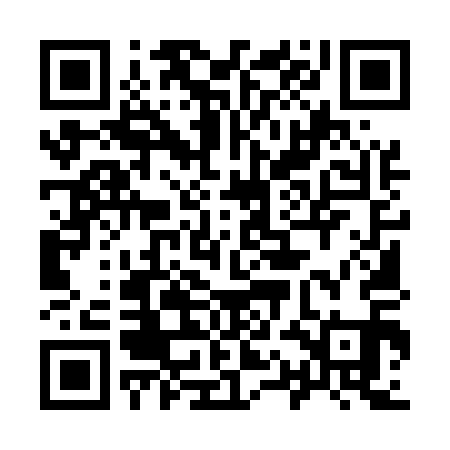 QR code for 91M511