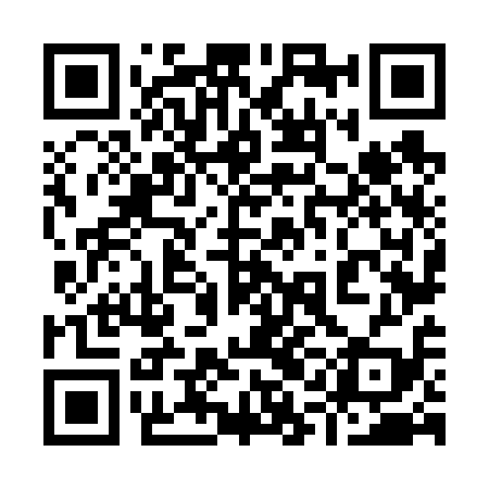 QR code for 91N619