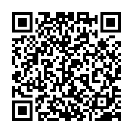 QR code for 91O991