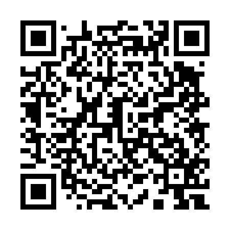 QR code for 91P417