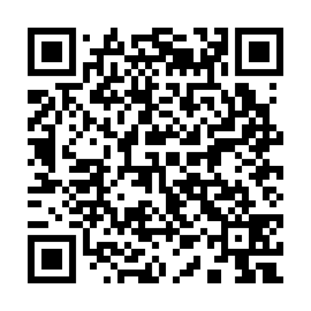 QR code for 91PC39