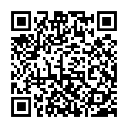 QR code for 91PE29