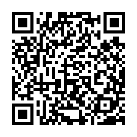 QR code for 91PV48