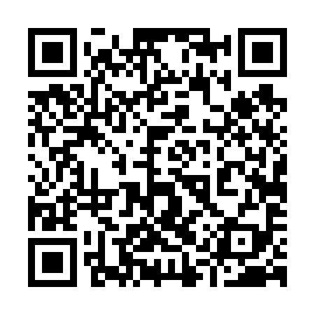 QR code for 91T699