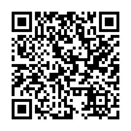 QR code for 91T919