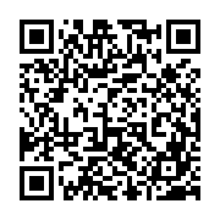 QR code for 91TM66
