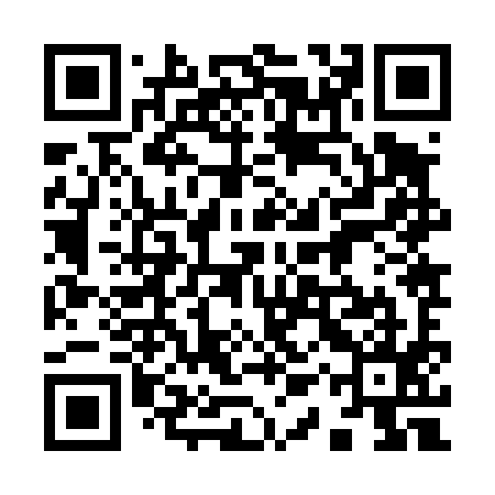QR code for 91Z495