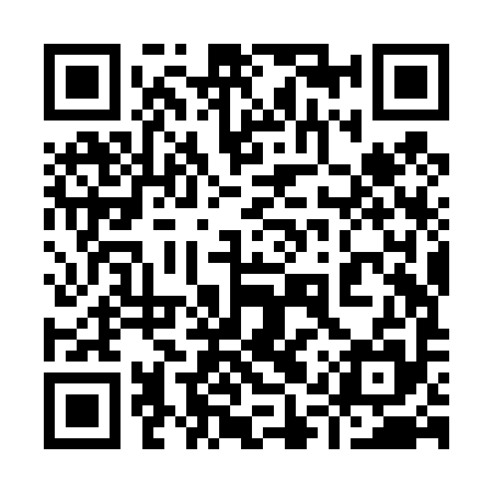 QR code for 91ZT95