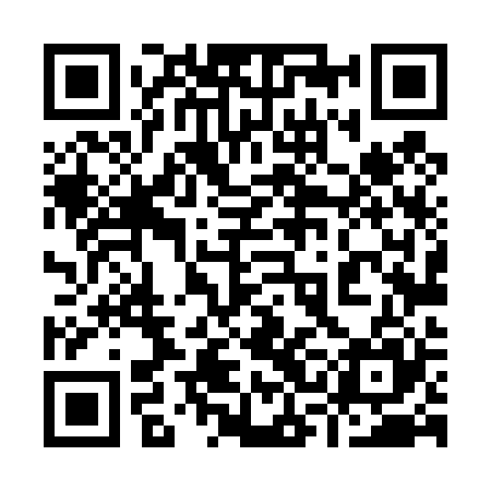 QR code for 93L425