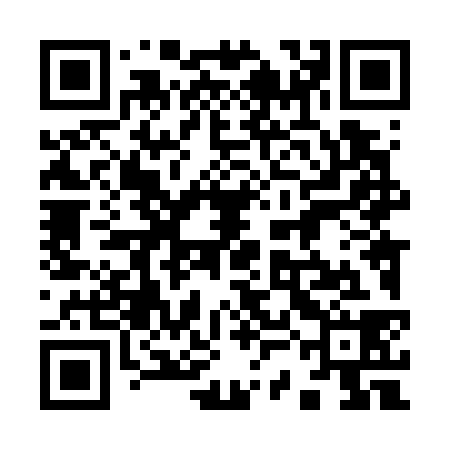 QR code for 93L738