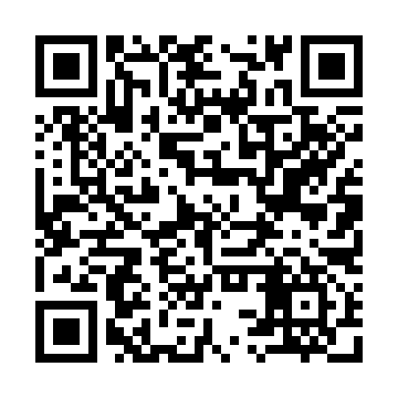 QR code for 93T397