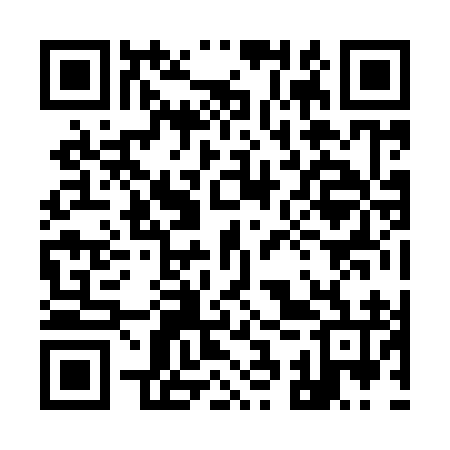 QR code for 93Z996