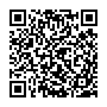 QR code for 95A667
