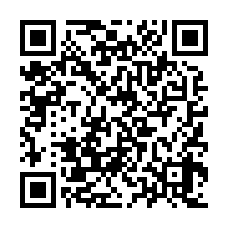 QR code for 95D838