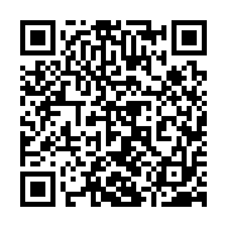 QR code for 95F313