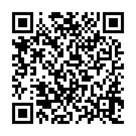 QR code for 95II96