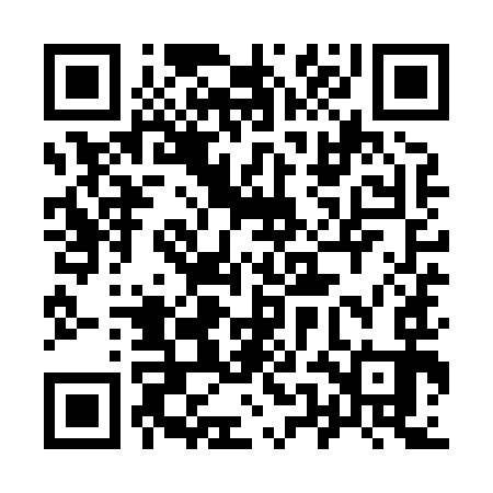 QR code for 95IX93