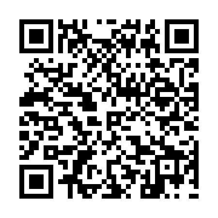 QR code for 95LM29
