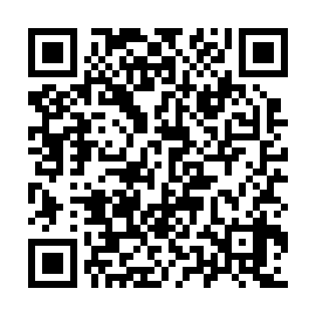 QR code for 95LR38