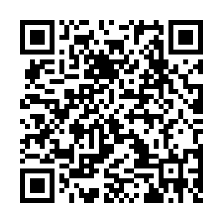 QR code for 95LT52