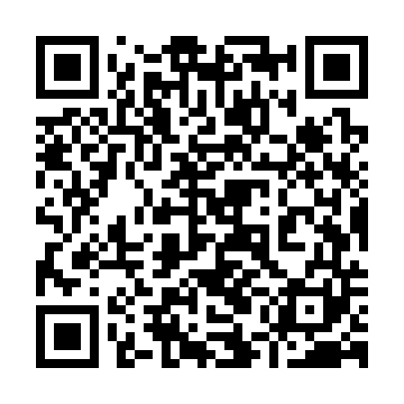 QR code for 95MS41