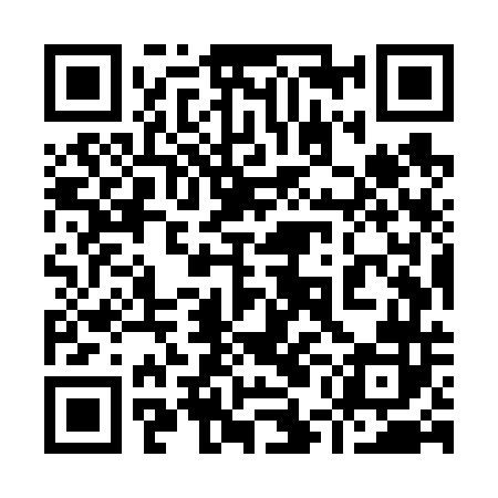 QR code for 95MV42